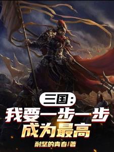 三国我要当谋士106